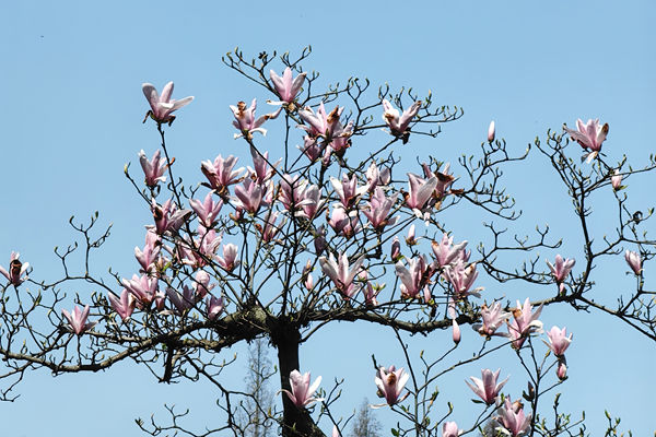 73项上榜！第三批工业产品碳足迹核算规则团体标准推荐清单公布