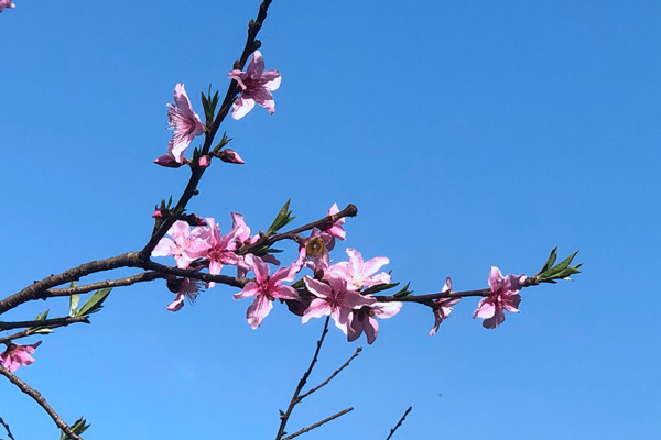 材料创新赋能“好房子” | 山东省绿色建材促进建筑品质提升观摩交流活动在烟台成功举办